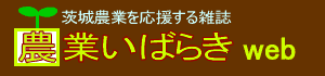 �_�Ƃ��΂炫web